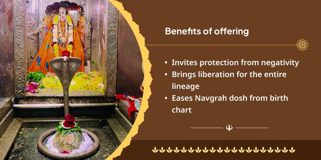 4 Shravan Somwar Omkareshwar Jyotirlinga Chadhava Sankalp