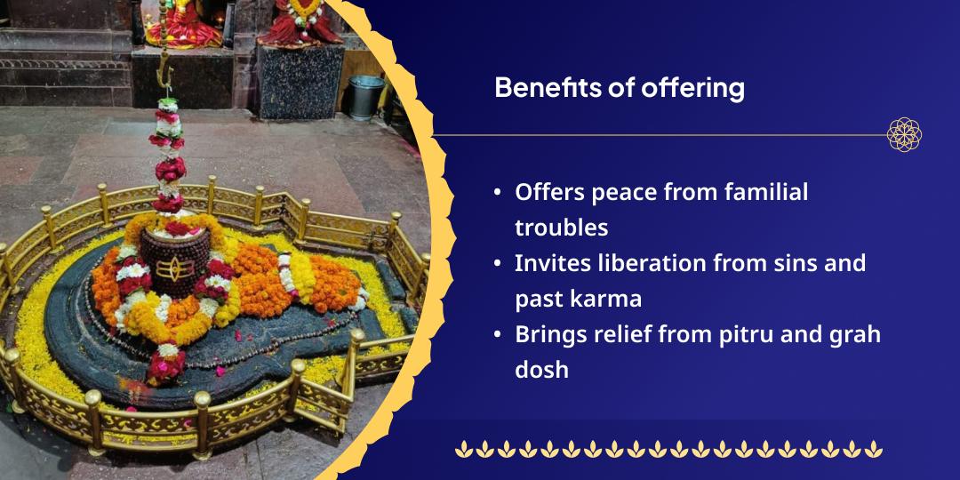 Shravan Somwar Grishneshwar Jyotirlinga Chadhava