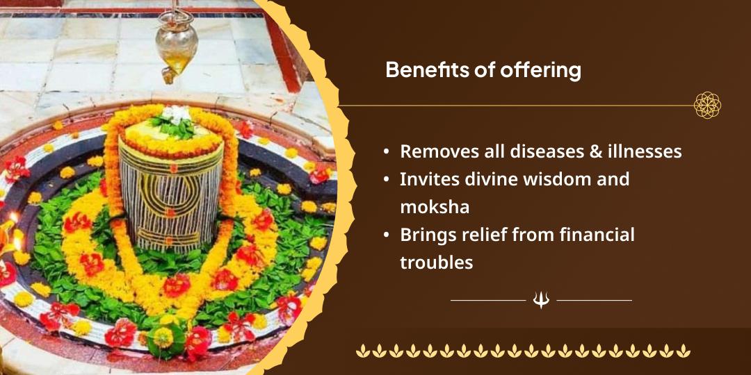 Shravan Somwar Baidyanath Jyotirling Chadhava