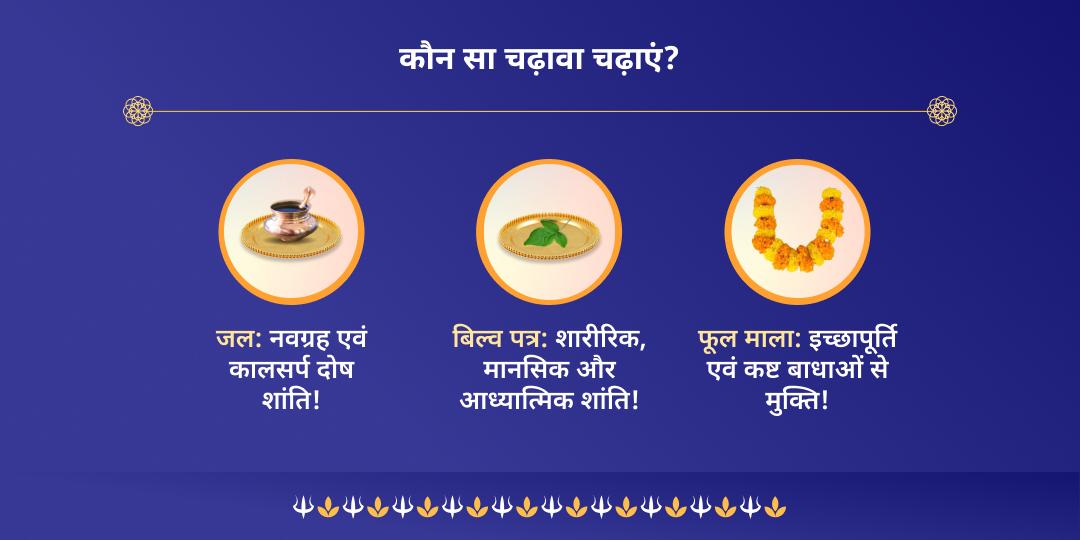 सोमवार अष्टम ज्योतिर्लिंग श्री त्र्यंबकेश्वर चढ़ावा