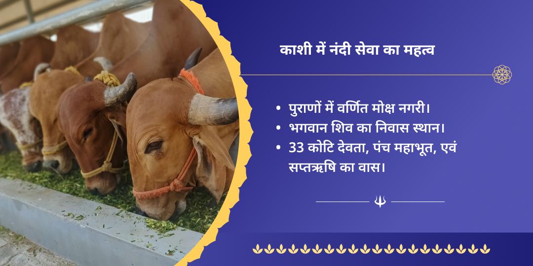 श्रावण सोमवार शिव नगरी काशी नंदी सेवा