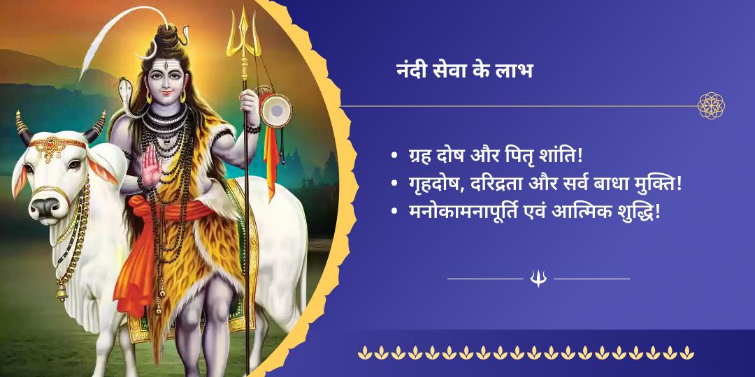 श्रावण सोमवार शिव नगरी काशी नंदी सेवा