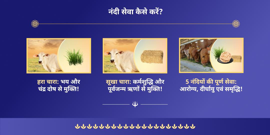 श्रावण सोमवार शिव नगरी काशी नंदी सेवा