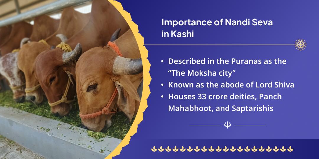 Shravan Somwar Shiv Nagari Kashi Nandi Seva
