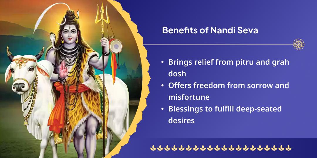 Shravan Somwar Shiv Nagari Kashi Nandi Seva