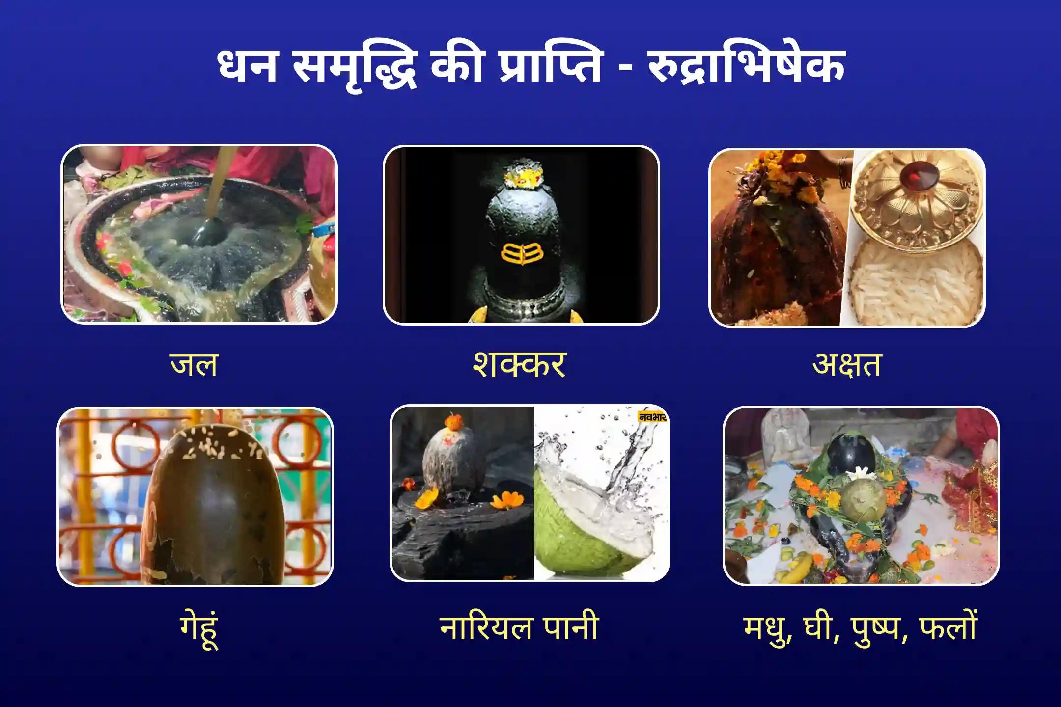 स्वास्थ्य, धन, समृद्धि और बाधाओं को दूर करने के आशीर्वाद के लिए सावन का पहला सोमवार 21 द्रव्य ज्योतिर्लिंग महारुद्राभिषेक 21 द्रव्य महा रुद्राभिषेक एवं 1,00,008 शिव पंचाक्षरी मंत्र जाप