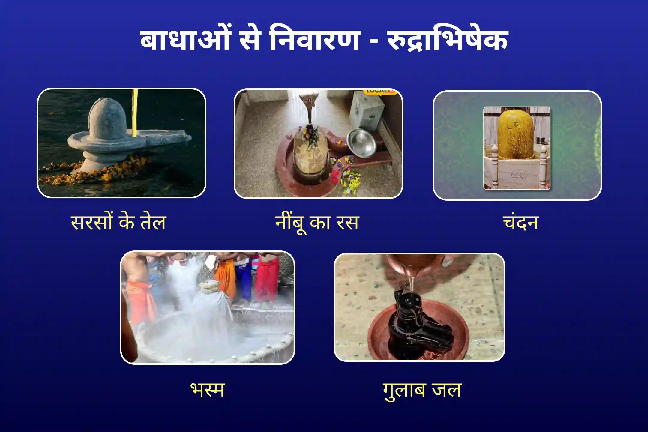 स्वास्थ्य, धन, समृद्धि और बाधाओं को दूर करने के आशीर्वाद के लिए सावन का पहला सोमवार 21 द्रव्य ज्योतिर्लिंग महारुद्राभिषेक 21 द्रव्य महा रुद्राभिषेक एवं 1,00,008 शिव पंचाक्षरी मंत्र जाप