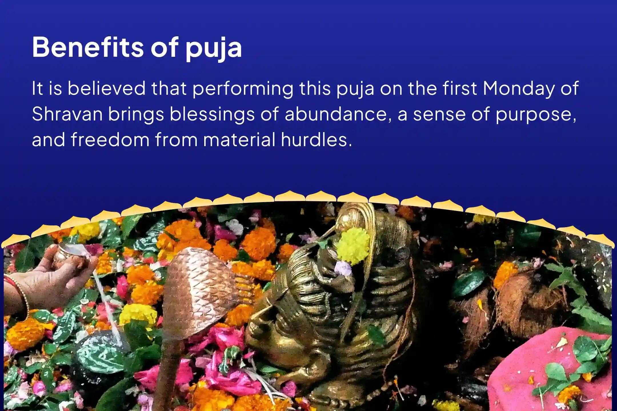 Jyotirlinga Shravan First Monday Special Jyotirlinga Trimbakeshwar Rudrabhishek Mahapuja For Blessings of Abundance, Purpose, and Freedom from Material Hurdles