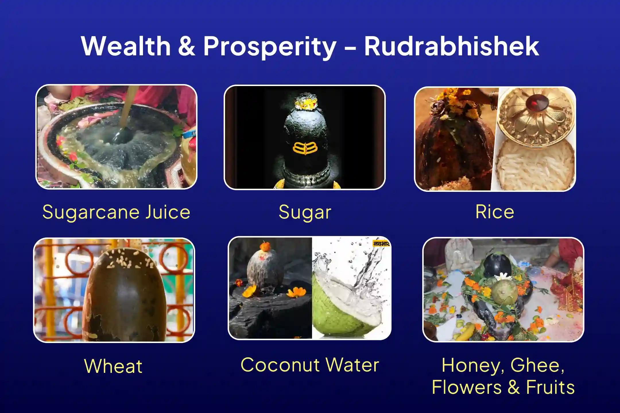 Shravan First  Monday 21 Dravya Jyotirlinga Maharudrabhishek 21 Dravya Maha Rudrabhishek and 1,00,008 Shiv Panchakshari Mantra Jaap For Blessings of Health, Wealth, Prosperity and Removal of Obstacles