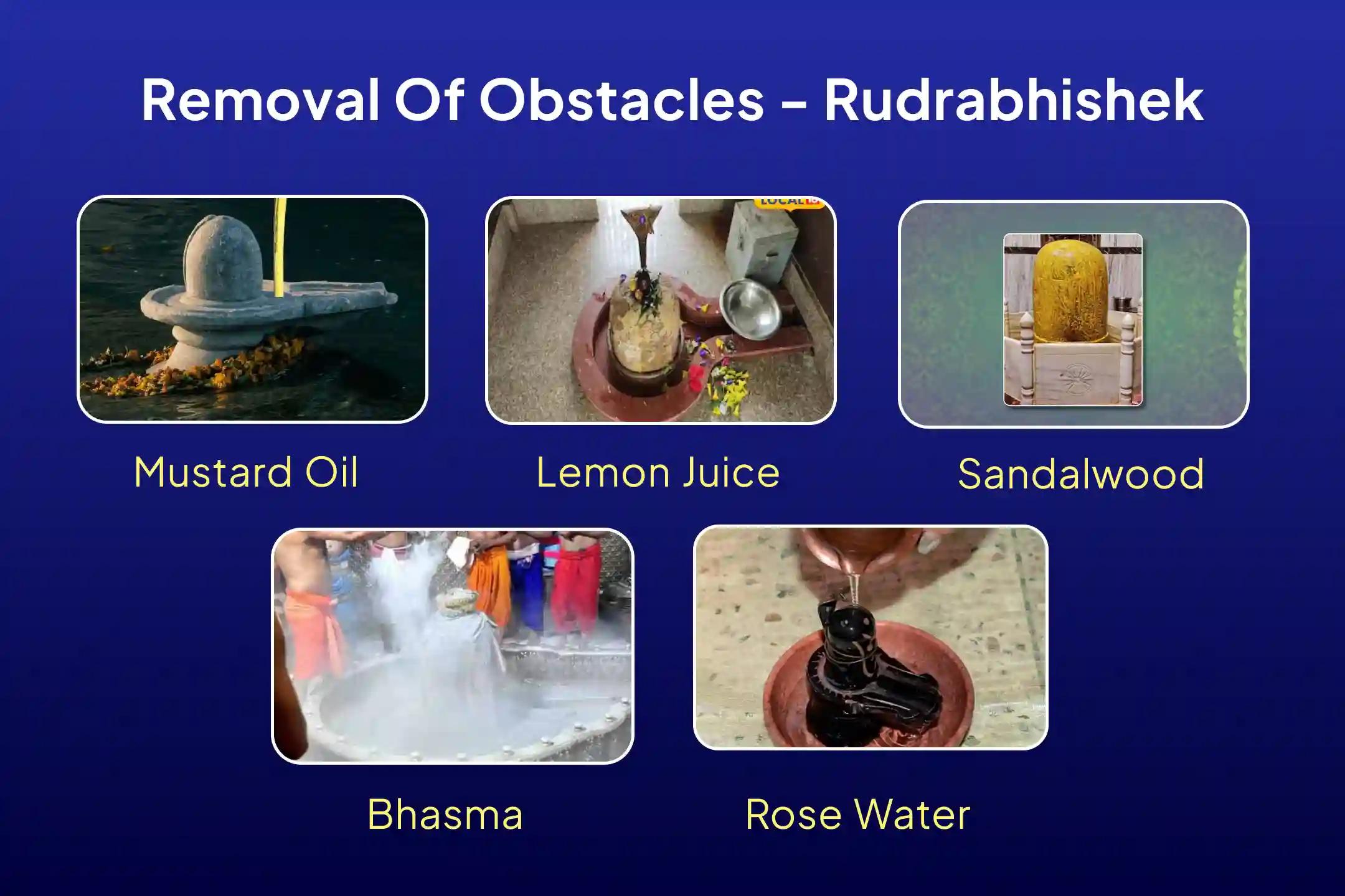 Shravan First  Monday 21 Dravya Jyotirlinga Maharudrabhishek 21 Dravya Maha Rudrabhishek and 1,00,008 Shiv Panchakshari Mantra Jaap For Blessings of Health, Wealth, Prosperity and Removal of Obstacles
