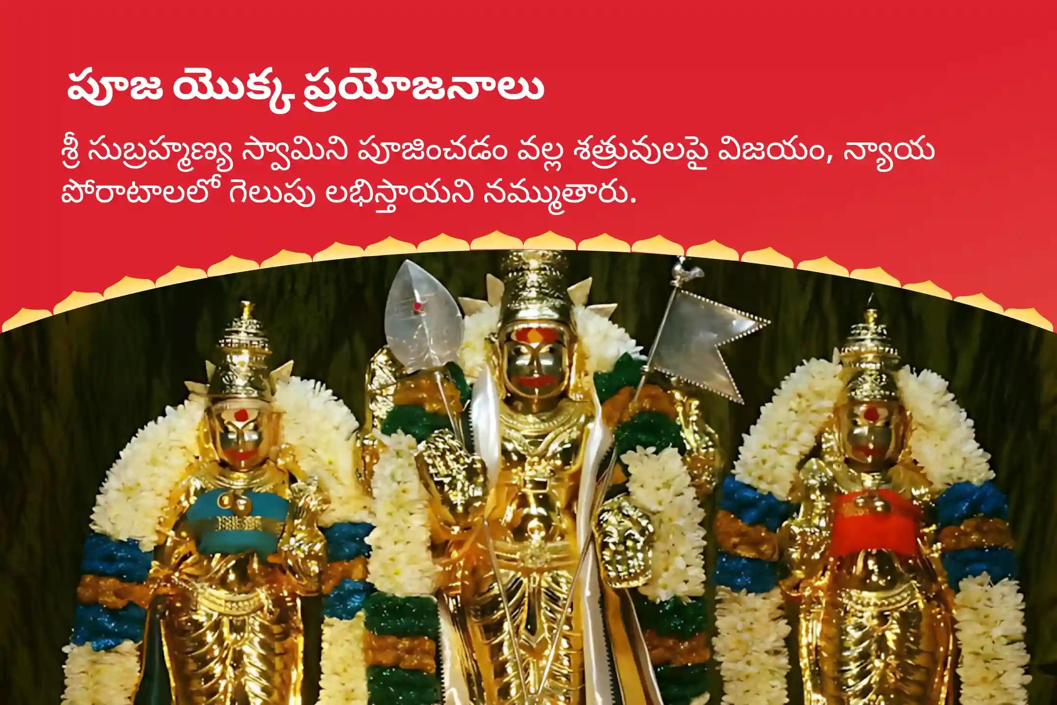 జీవితంలో శత్రువులపై మరియు న్యాయ పోరాటాలలో గెలుపు సాధించడానికి యుద్ధం మరియు న్యాయ పోరాటాలకు అధిపతి అయిన శ్రీ సుబ్రమణ్య స్వామికి  చేసే శత్రు సంహార త్రిశతి హోమంలో పాల్గొని ఆశీస్సులు పొందండి.
