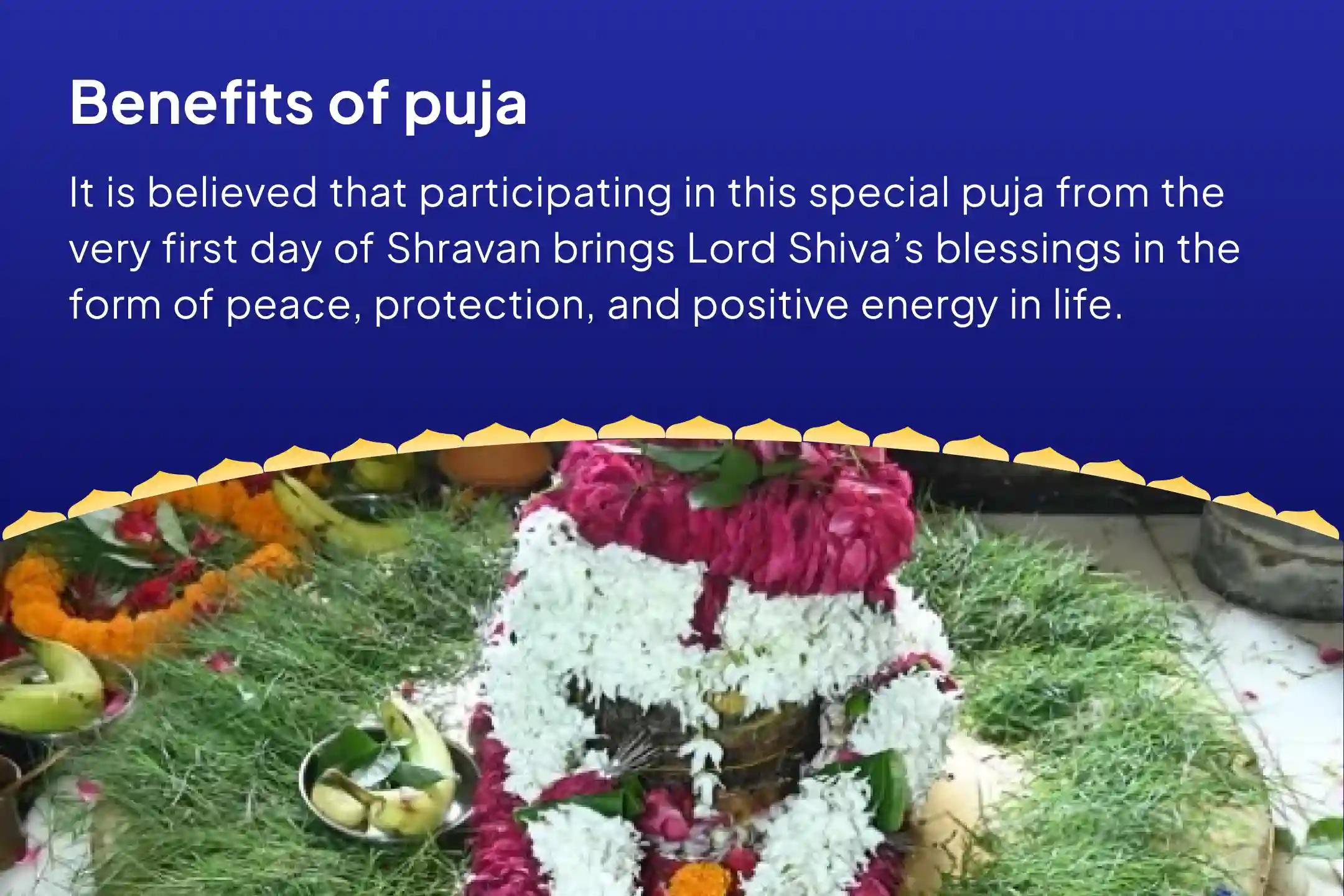 Shravan Begins - 30 Days Puja Shravan Akhand Shivarchana: 30 Days Daily Rudrabhishek & 1.25 Lakh Panchakshari Jaap To Receive Blessings for Peace, Protection, and Positivity