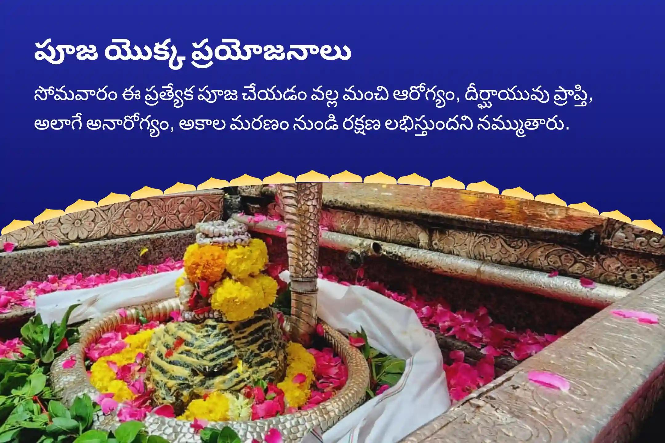 సోమవారం జ్యోతిర్లింగ 108 మంది బ్రాహ్మణుల 10.08 లక్షల జపం ప్రత్యేకం 10,08,000 మహామృత్యుంజయ మహానుష్ఠానం మరియు పంచామృత రుద్రాభిషేకం స్వస్థత మరియు దీర్ఘాయువుకు, అలాగే అనారోగ్యం మరియు అకాల మరణం నుండి రక్షణకు