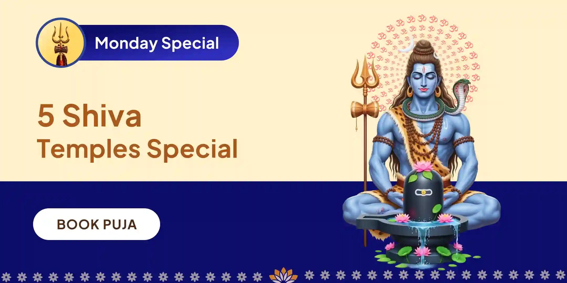 Panch Tatva (Prithvi, Jala, Vayu, Akaash, Agni) Maha Rudrabhishek at Five Sacred Shivalayas