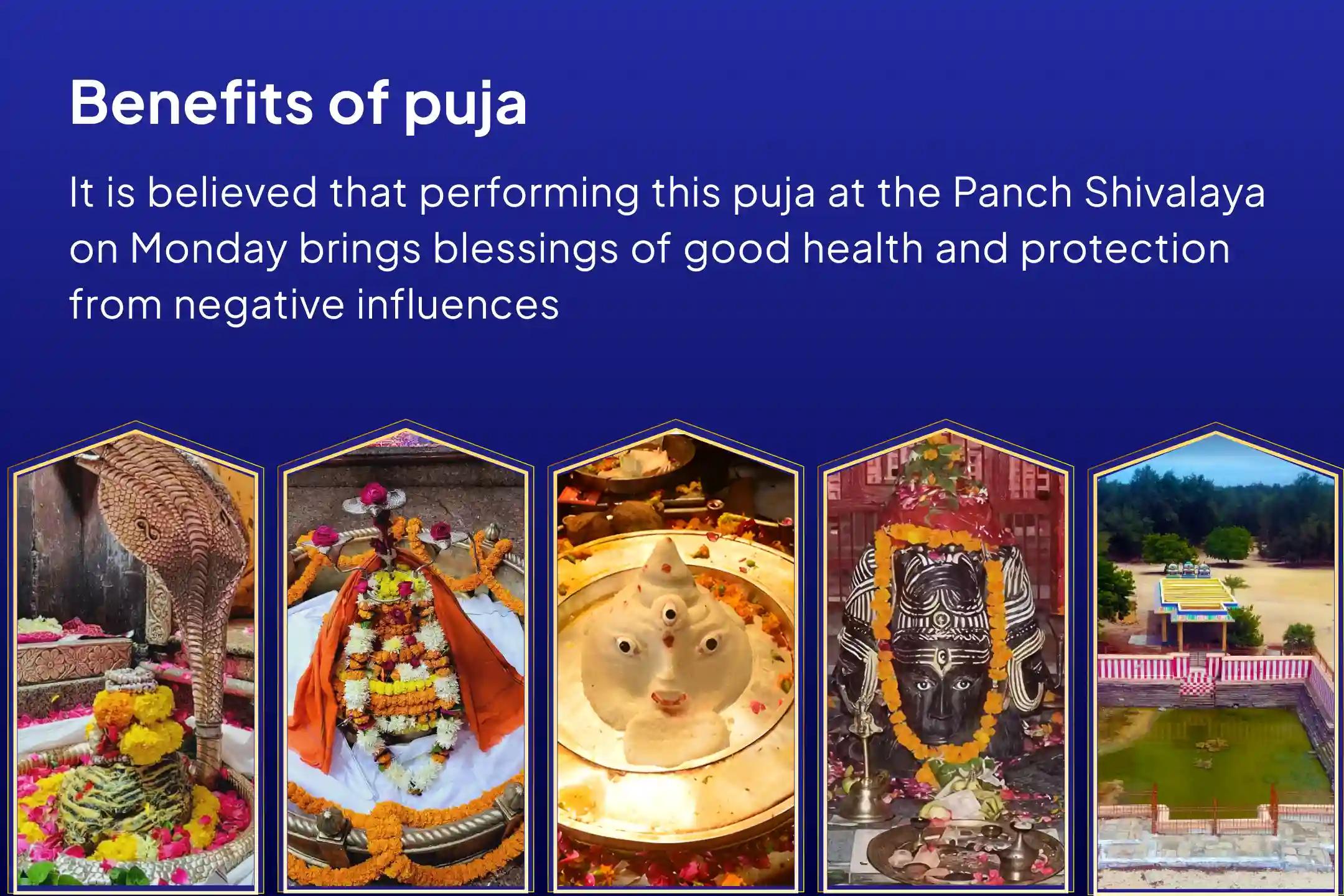 5 Shiva Temples Special Panch Tatva (Prithvi, Jala, Vayu, Akaash, Agni) Maha Rudrabhishek at Five Sacred Shivalayas For Blessings of Good Health and Protection from Negative Influences
