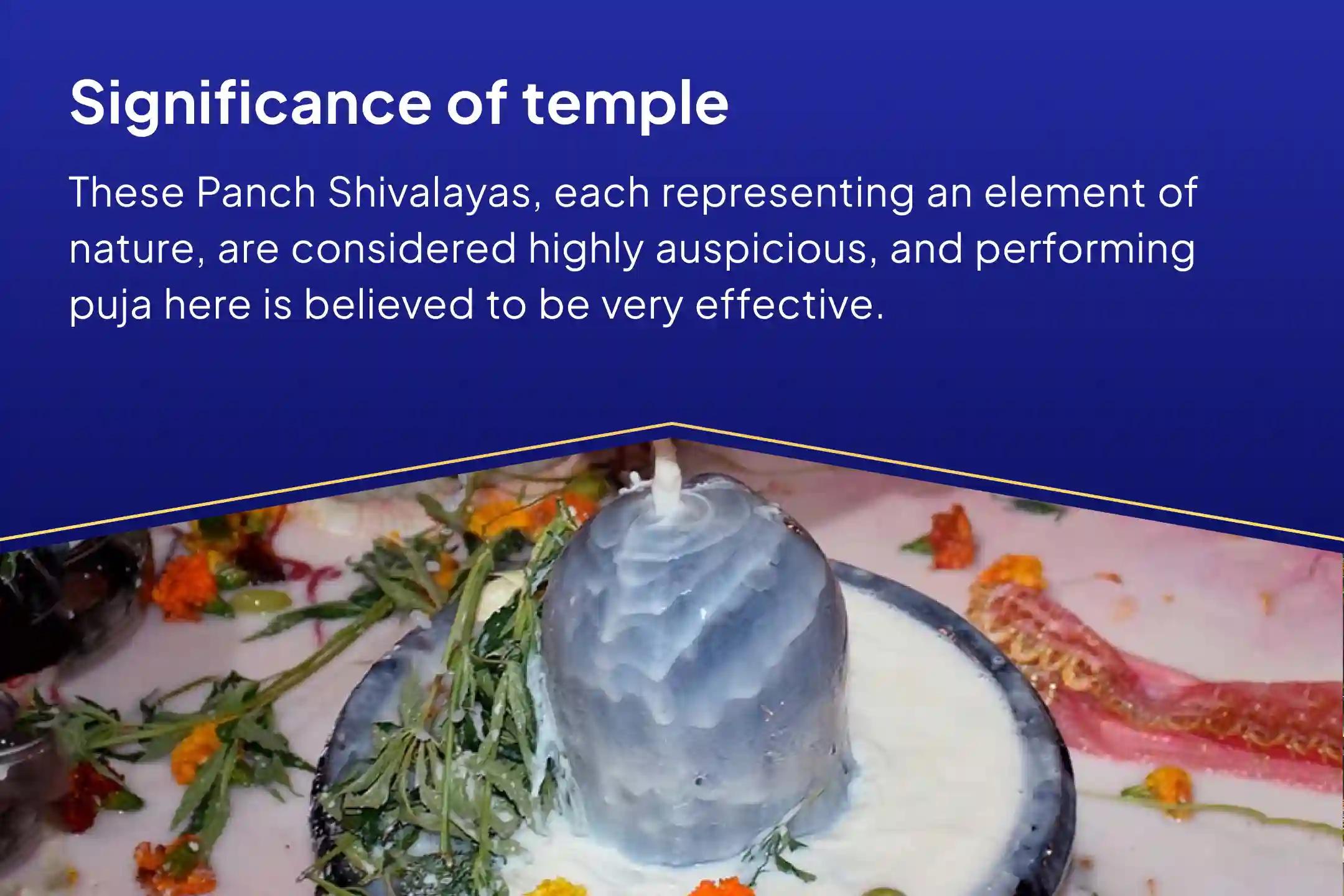 5 Shiva Temples Special Panch Tatva (Prithvi, Jala, Vayu, Akaash, Agni) Maha Rudrabhishek at Five Sacred Shivalayas For Blessings of Good Health and Protection from Negative Influences