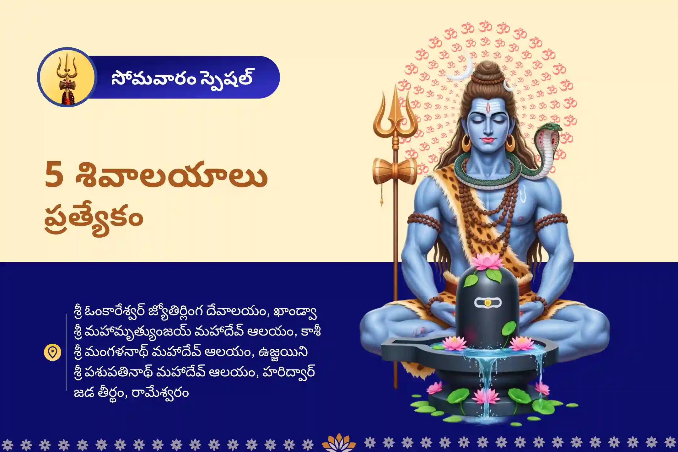  5 శివాలయాలు ప్రత్యేకం ఐదు పవిత్ర శివాలయాలలో పంచతత్వ (పృథ్వి, జల, వాయు, ఆకాశ, అగ్ని) మహా రుద్రాభిషేకం మంచి ఆరోగ్యం మరియు ప్రతికూల ప్రభావాల నుండి రక్షణకై ఆశీస్సుల కొరకు
