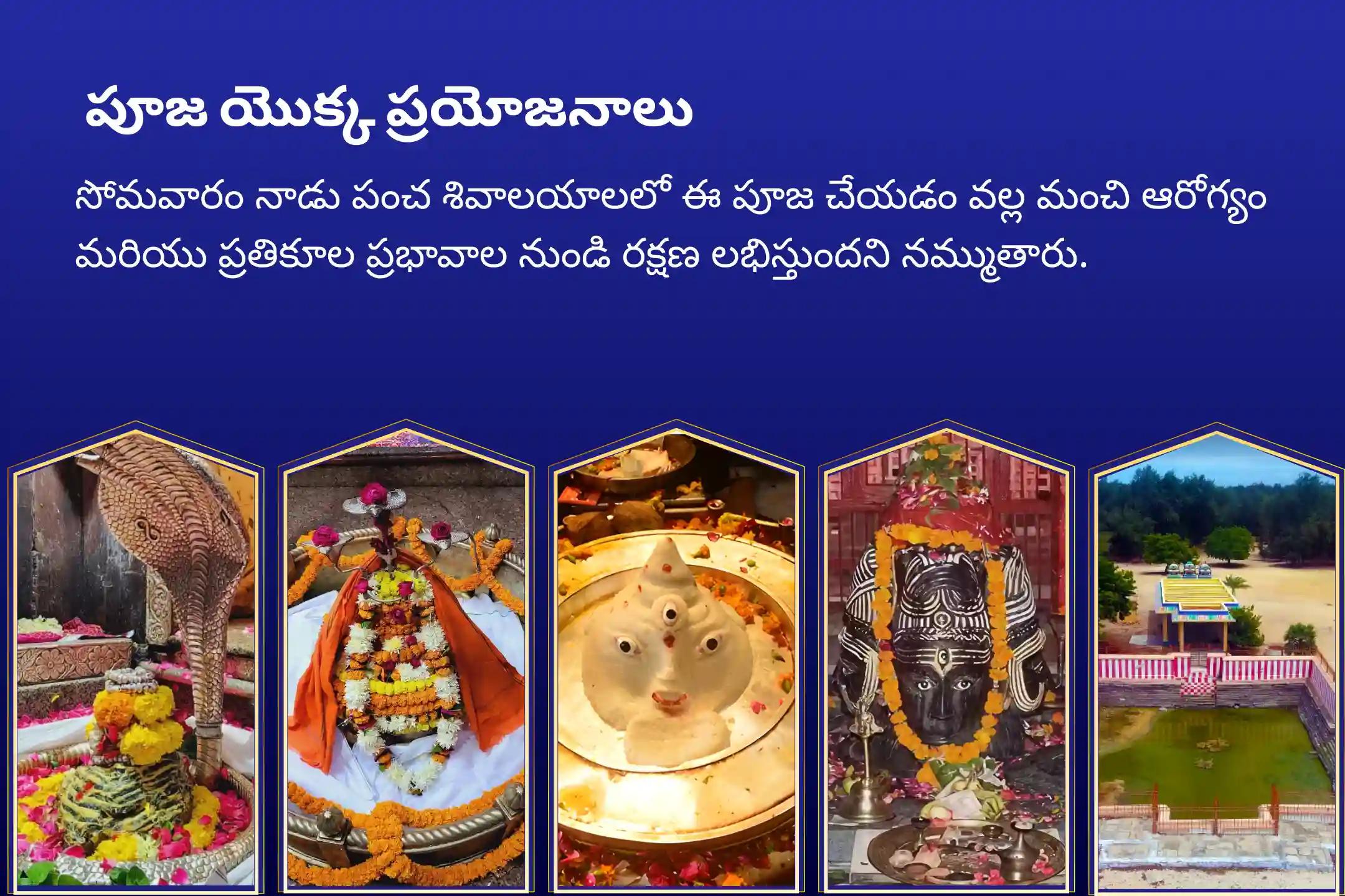  5 శివాలయాలు ప్రత్యేకం ఐదు పవిత్ర శివాలయాలలో పంచతత్వ (పృథ్వి, జల, వాయు, ఆకాశ, అగ్ని) మహా రుద్రాభిషేకం మంచి ఆరోగ్యం మరియు ప్రతికూల ప్రభావాల నుండి రక్షణకై ఆశీస్సుల కొరకు