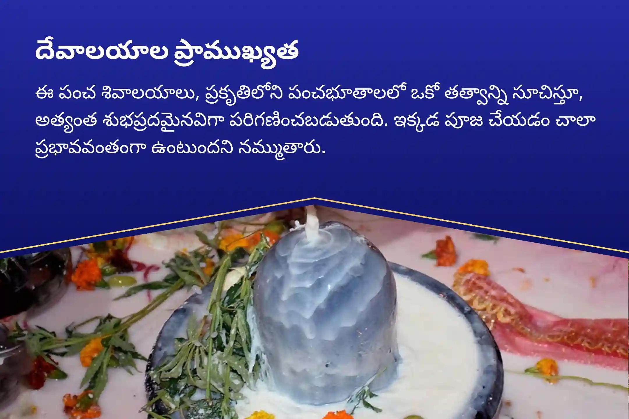  5 శివాలయాలు ప్రత్యేకం ఐదు పవిత్ర శివాలయాలలో పంచతత్వ (పృథ్వి, జల, వాయు, ఆకాశ, అగ్ని) మహా రుద్రాభిషేకం మంచి ఆరోగ్యం మరియు ప్రతికూల ప్రభావాల నుండి రక్షణకై ఆశీస్సుల కొరకు