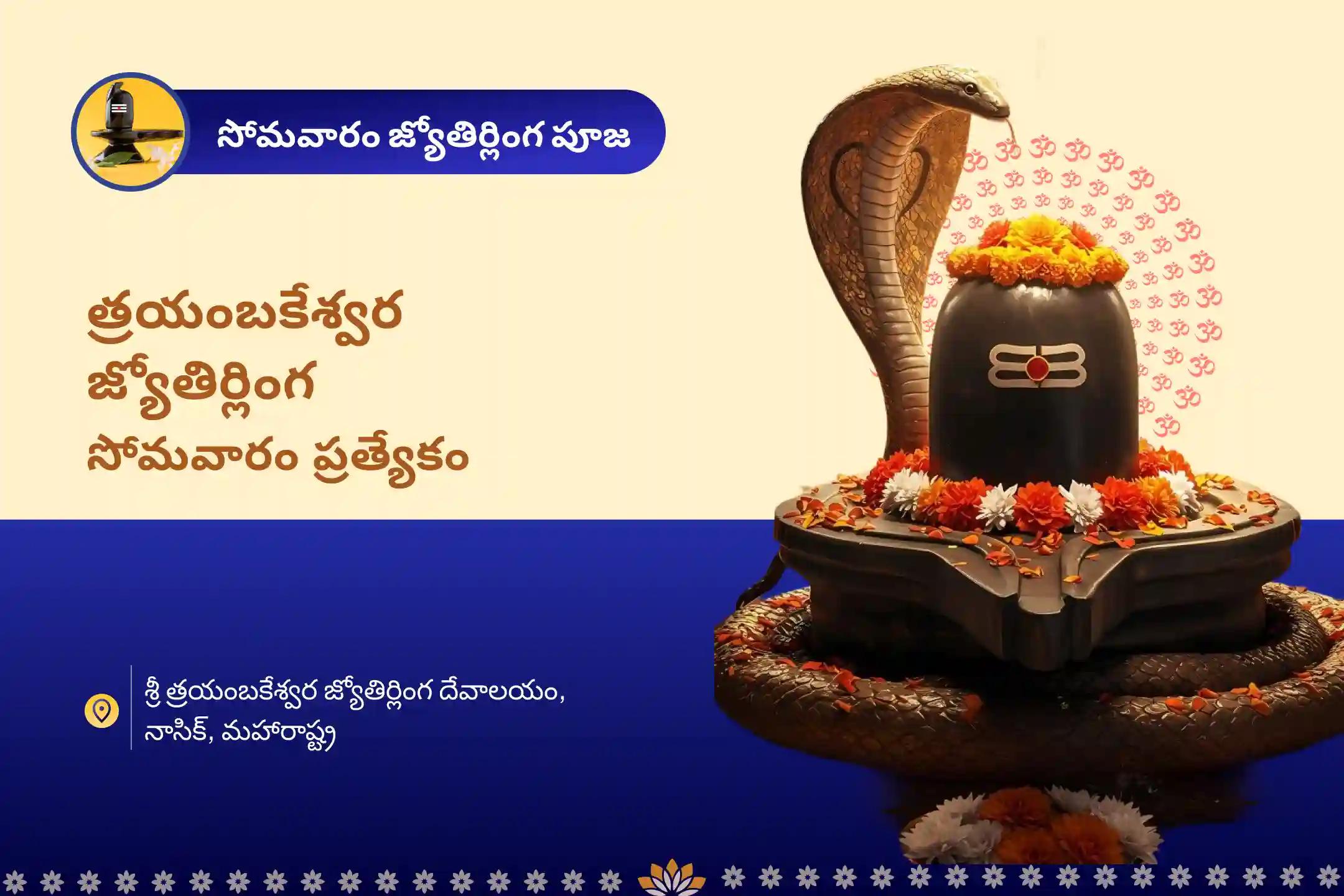 త్రయంబకేశ్వర జ్యోతిర్లింగ సోమవారం స్పెషల్ జ్యోతిర్లింగ త్రయంబకేశ్వర రుద్రాభిషేక మహాపూజ సంపద, జీవిత లక్ష్యం, మరియు భౌతిక అడ్డంకుల నుండి విముక్తికై ఆశీస్సుల కోసం