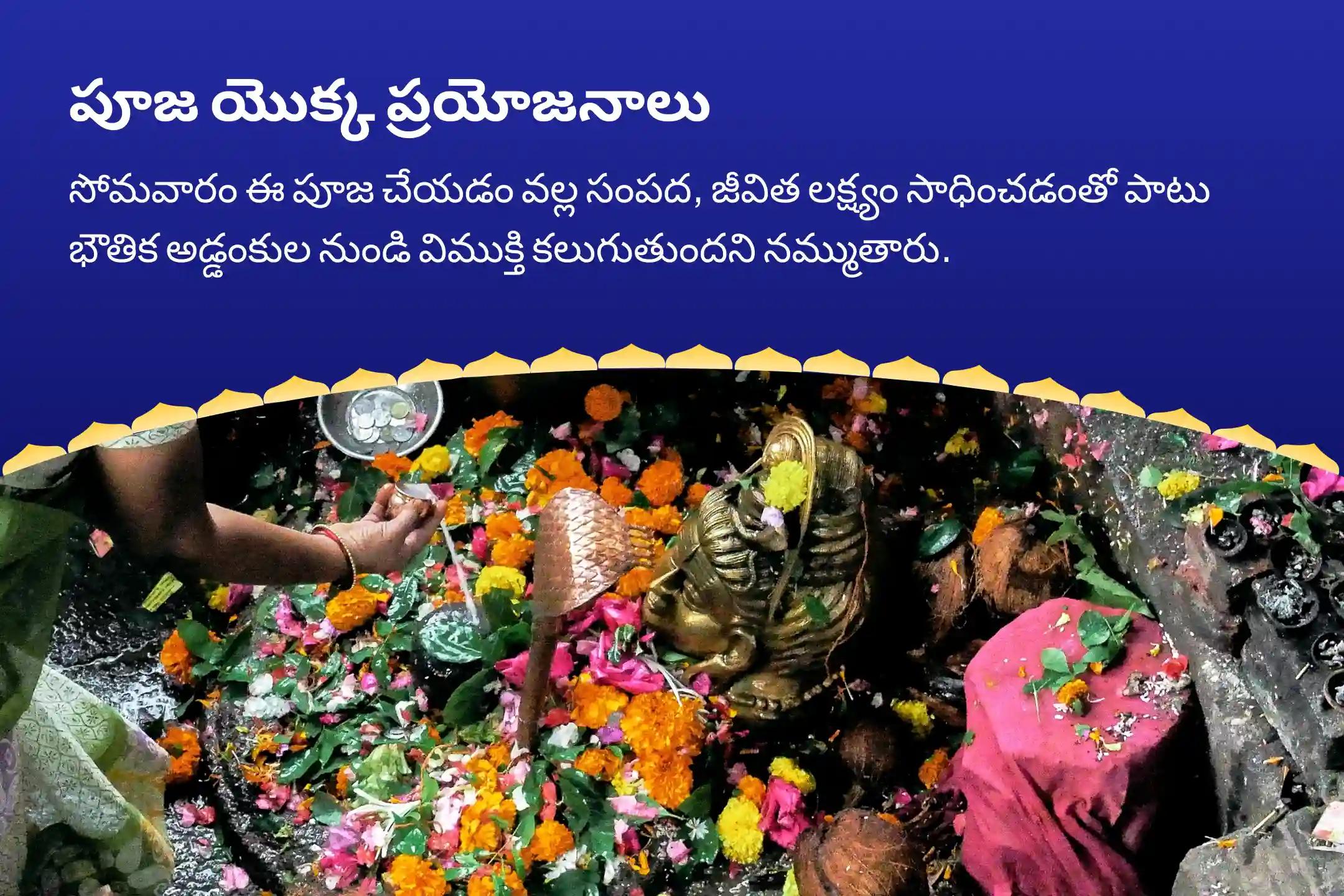 త్రయంబకేశ్వర జ్యోతిర్లింగ సోమవారం స్పెషల్ జ్యోతిర్లింగ త్రయంబకేశ్వర రుద్రాభిషేక మహాపూజ సంపద, జీవిత లక్ష్యం, మరియు భౌతిక అడ్డంకుల నుండి విముక్తికై ఆశీస్సుల కోసం
