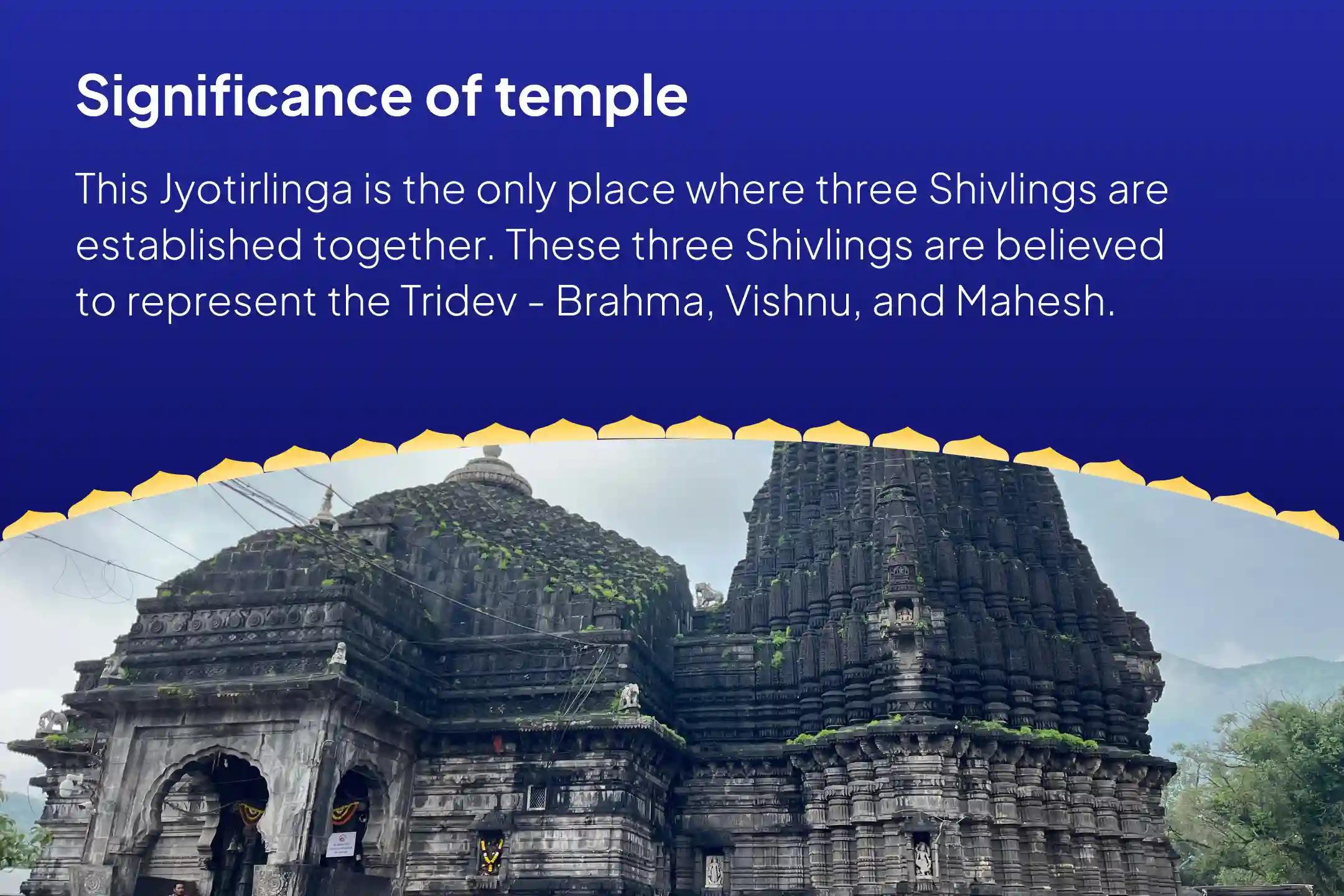 Shravan Ekadashi 2nd Monday Jyotirlinga Special Brahma, Vishnu and Mahesh (Shiva) Swayambhu Jyotirlinga Rudrabhishek Puja for Fulfilment of Life Desires and Financial Relief