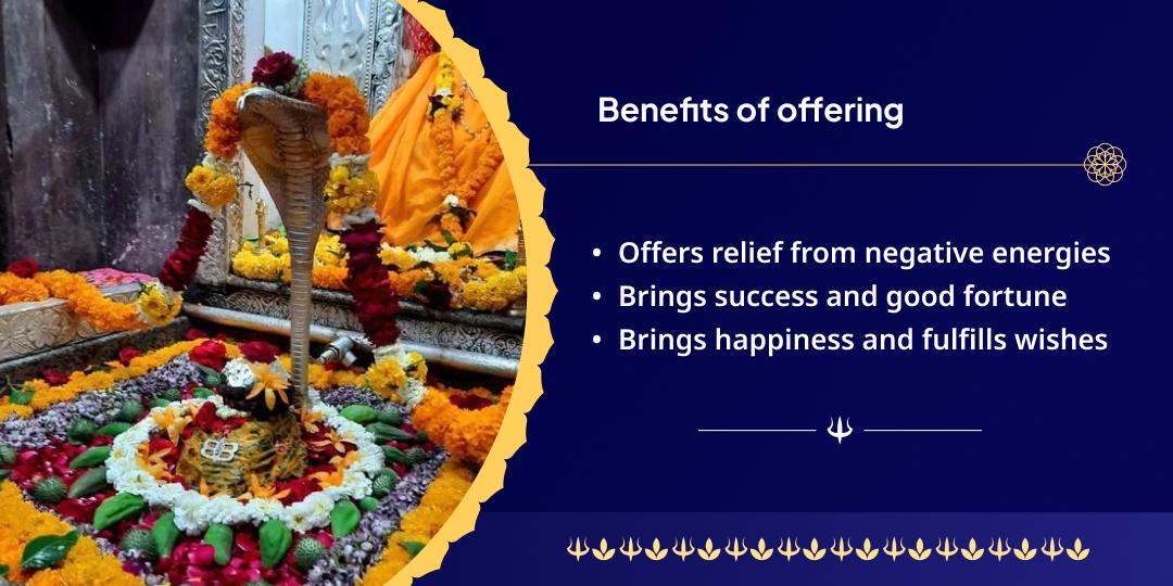 Sawan Somwar Omkareshwar Jyotirlinga Chadhava