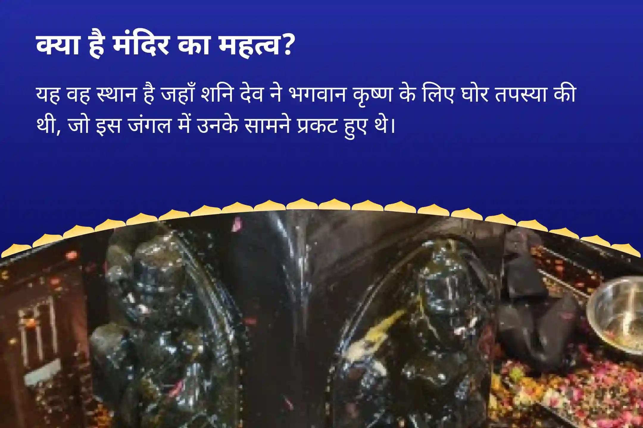 जीवन में चुनौतियों और बाधाओं पर नियंत्रण का आशीष पाने के लिए सावन में शनि के आशीर्वाद से असफलता को जीत में बदलें शनि शांति महापूजा एवं यज्ञ