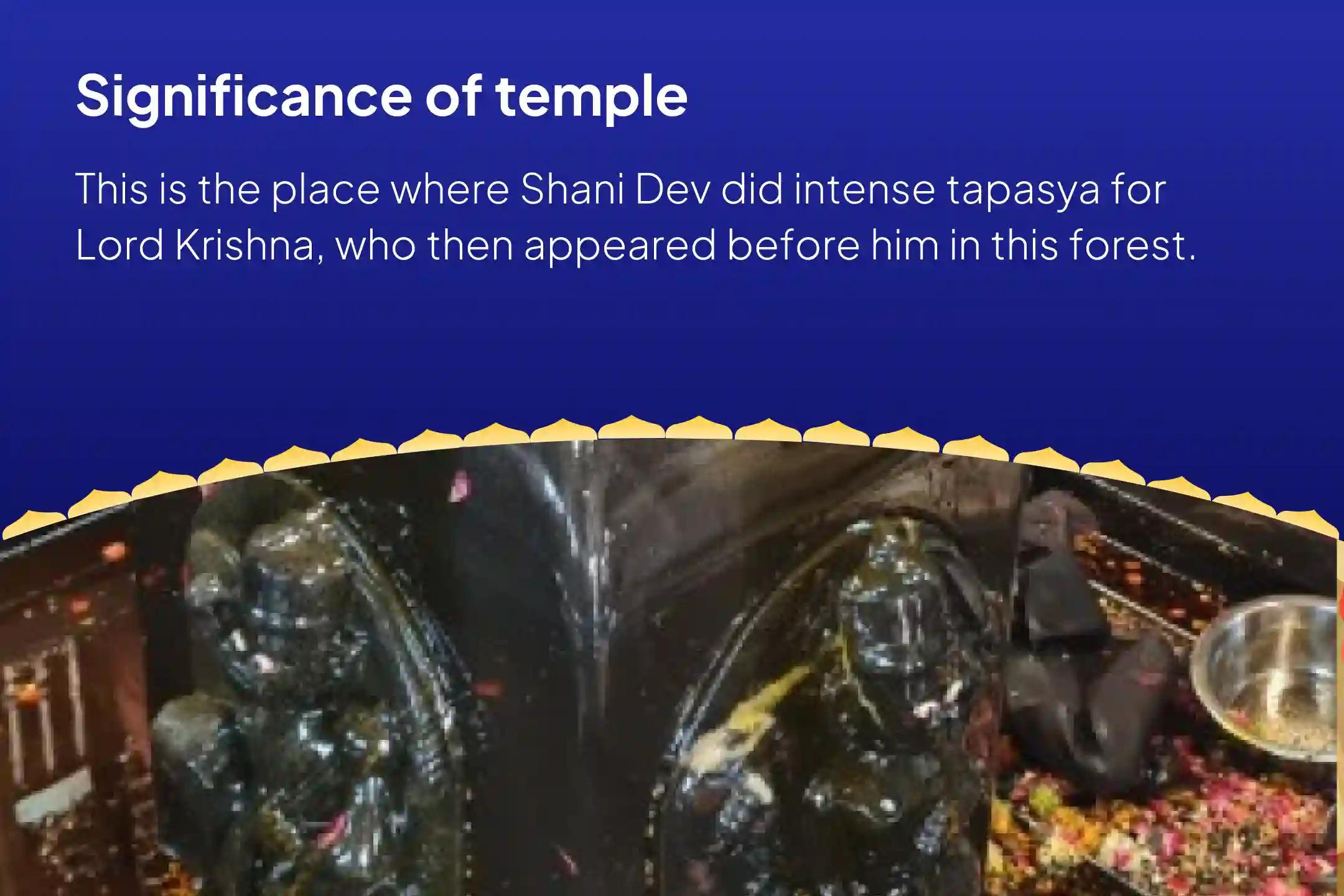 Turn Setbacks into Triumphs with Shani’s Blessings! Shani Shanti Mahapuja and Yagya for Overcoming Challenges and Adversities in Life