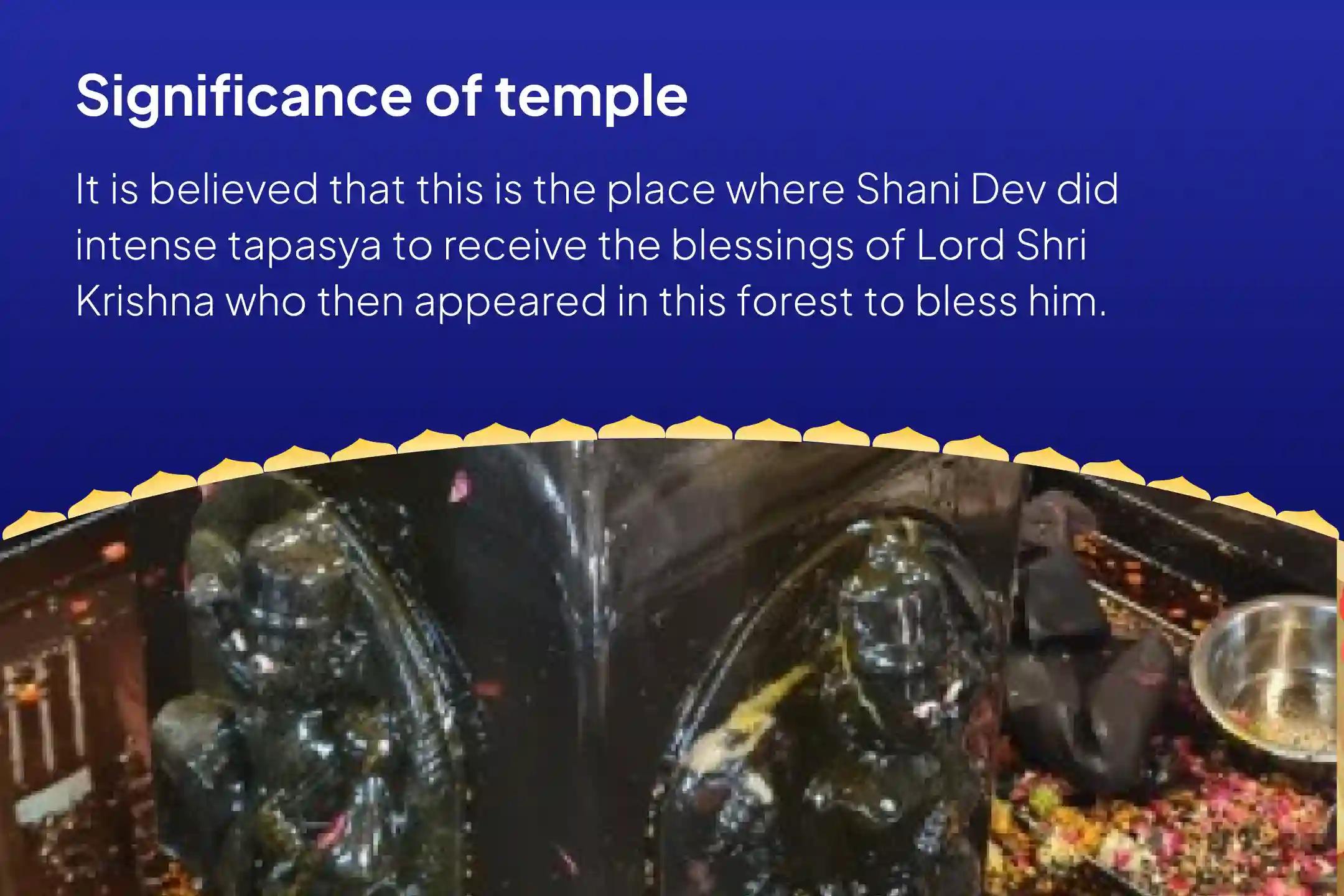 Saturday Peepal Tree Shani Shila Sthapana Special Shani Kavacch Stotra Path, Krishna Govinda Mantra Jaap, and Shani Shanti Yagya Best Remedy for Saade Saati and Dhaiya Afflictions