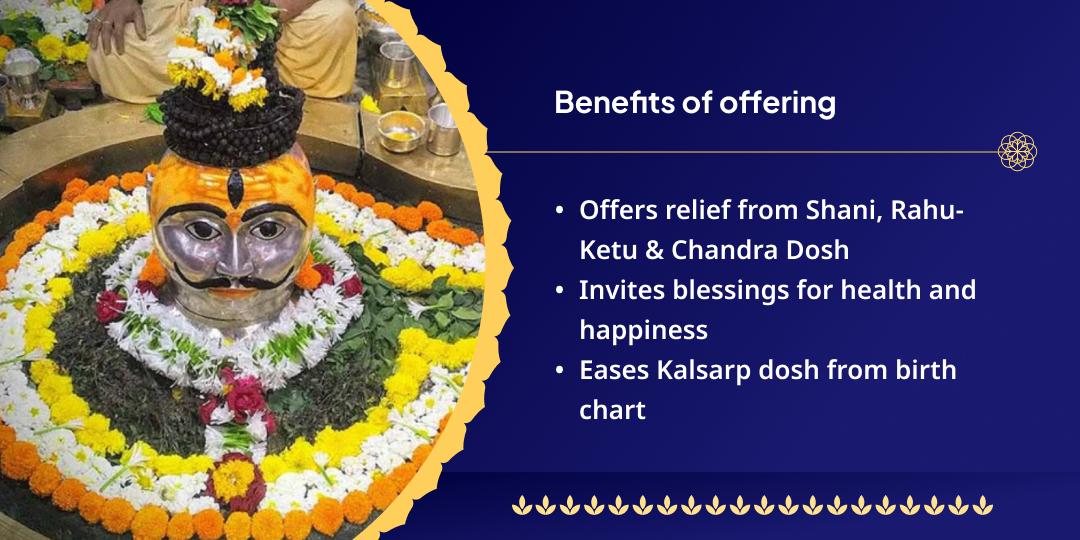 Sawan Somwar Kundli Dosh-Nivarak Trimbakeshwar Chadhava 