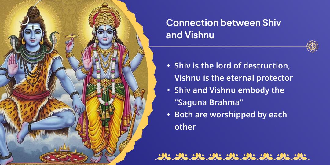 Sawan Somwar Ekadashi Mahayog Shiv-Vishnu Hawan Aahuti Seva