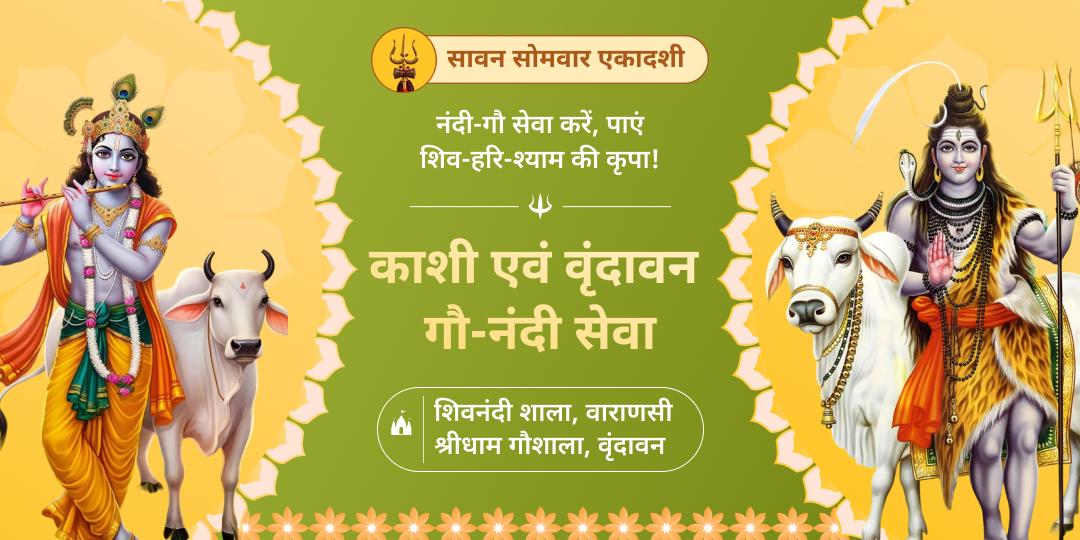 वर्षों बाद मिलने वाले दुर्लभ संयोग - सावन सोमवार एवं एकादशी महायोग पर काशी में नंदी सेवा एवं  वृंदावन में गौ सेवा करें।