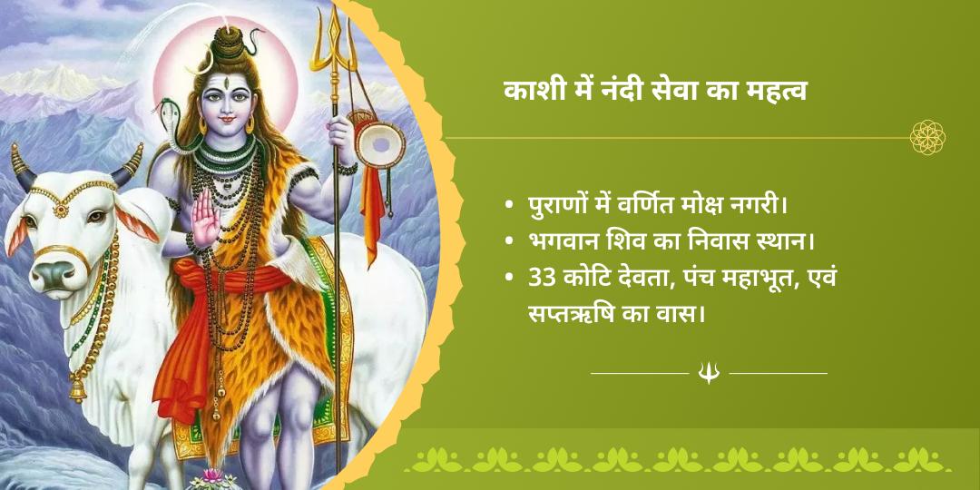 सावन सोमवार एकादशी काशी एवं वृंदावन गौ-नंदी सेवा