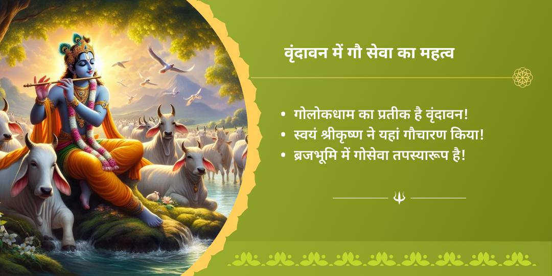 सावन सोमवार एकादशी काशी एवं वृंदावन गौ-नंदी सेवा