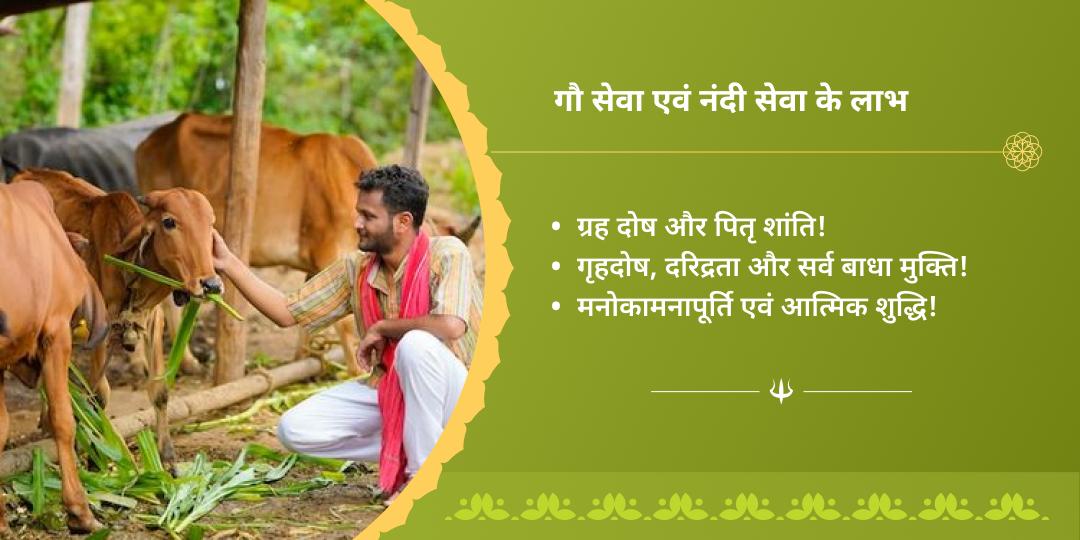 सावन सोमवार एकादशी काशी एवं वृंदावन गौ-नंदी सेवा