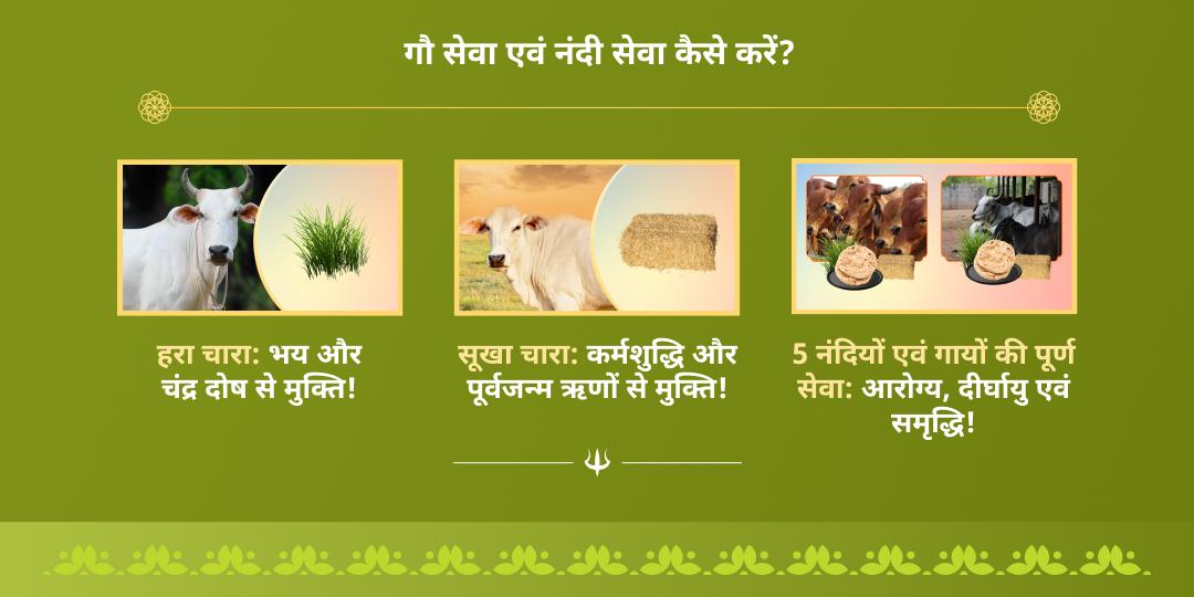 सावन सोमवार एकादशी काशी एवं वृंदावन गौ-नंदी सेवा
