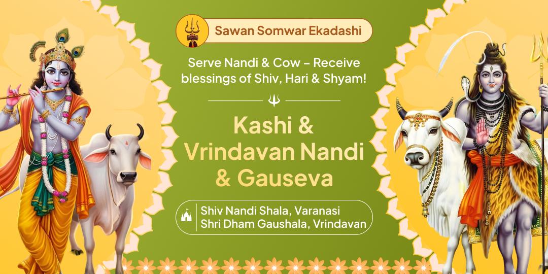 Serve Nandi and Sacred Cows in the pious Kashi and Vrindavan Sawan Somwar Ekadashi