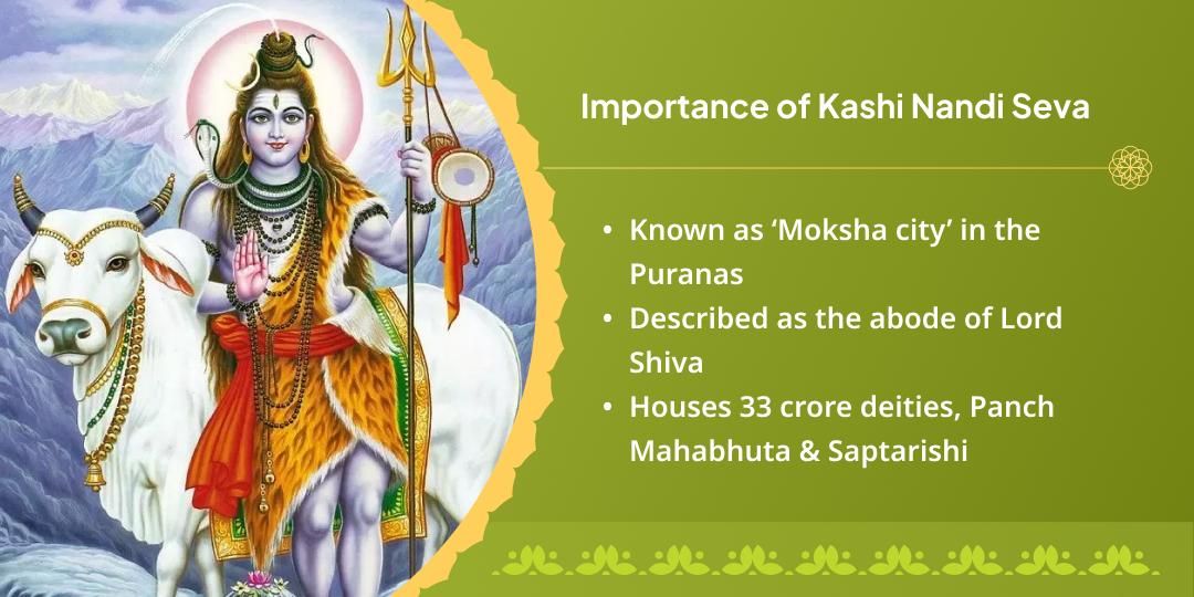 Sawan Somwar Ekadashi Kashi & Vrindavan Gau-Nandi Seva