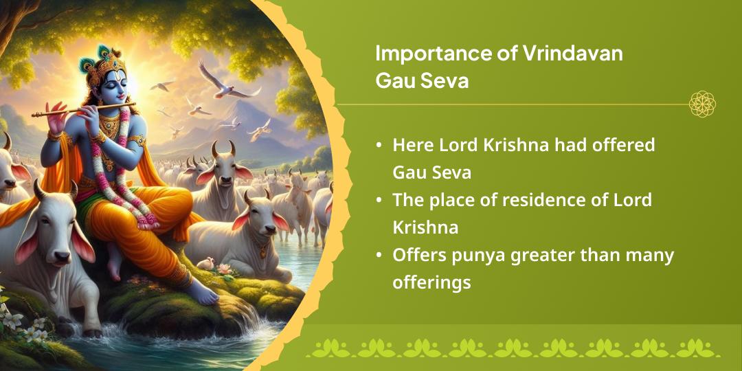 Sawan Somwar Ekadashi Kashi & Vrindavan Gau-Nandi Seva