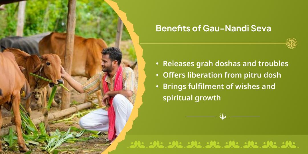 Sawan Somwar Ekadashi Kashi & Vrindavan Gau-Nandi Seva