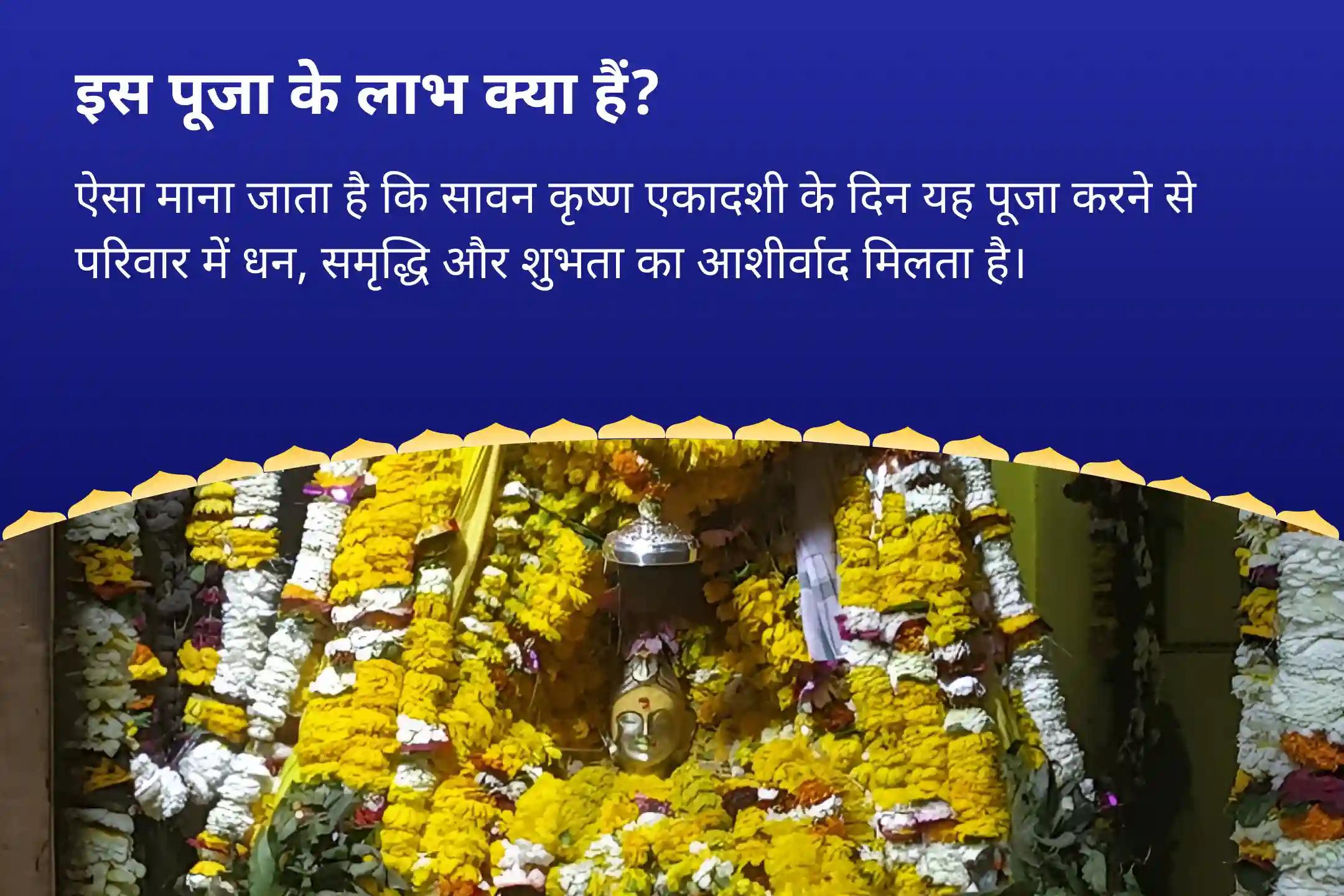 परिवार में समृद्धि और खुशहाली के आशीर्वाद के लिए सावन कामिका एकादशी धन और समृद्धि विशेष विष्णु पूजा और हवन