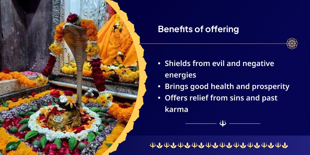 Sawan Shivratri Tridosha-Nivarak Trimbakeshwar Jyotirlinga Chadhava