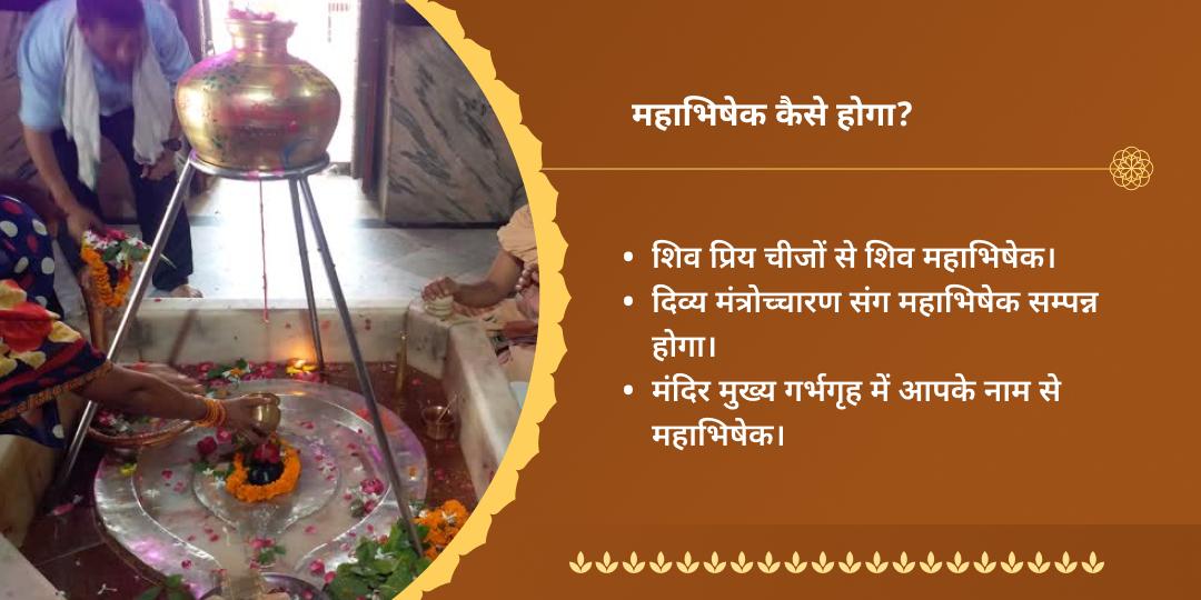 सावन शिवरात्रि शिवलिंग रुद्राभिषेक सेवा