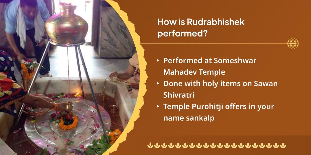 Sawan Shivratri Shivling Rudrabhishek Seva