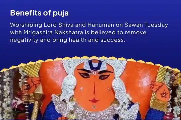 Sawan Tuesday Special: Mrigashira Nakshatra Sankat Mochan Puja Shiv-Hanumat Sankat Mochan Sangam Mahapuja Destruction of negativity, blessings of health and success