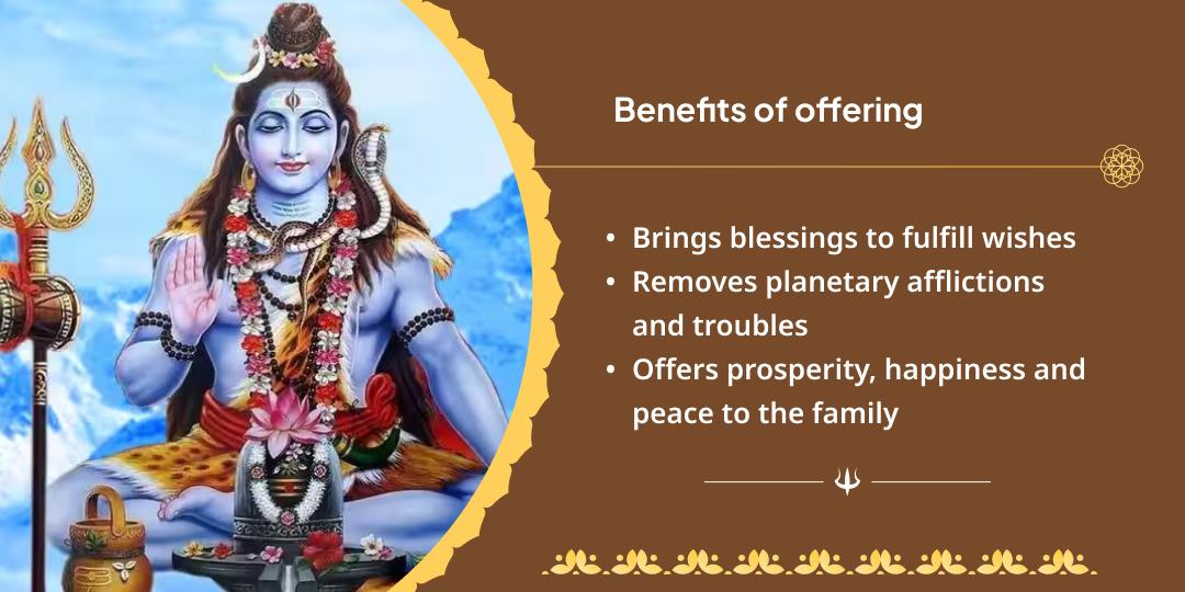 Sawan Amavasya Narmada Brahmin Seva & Omkareshwar Chadhava