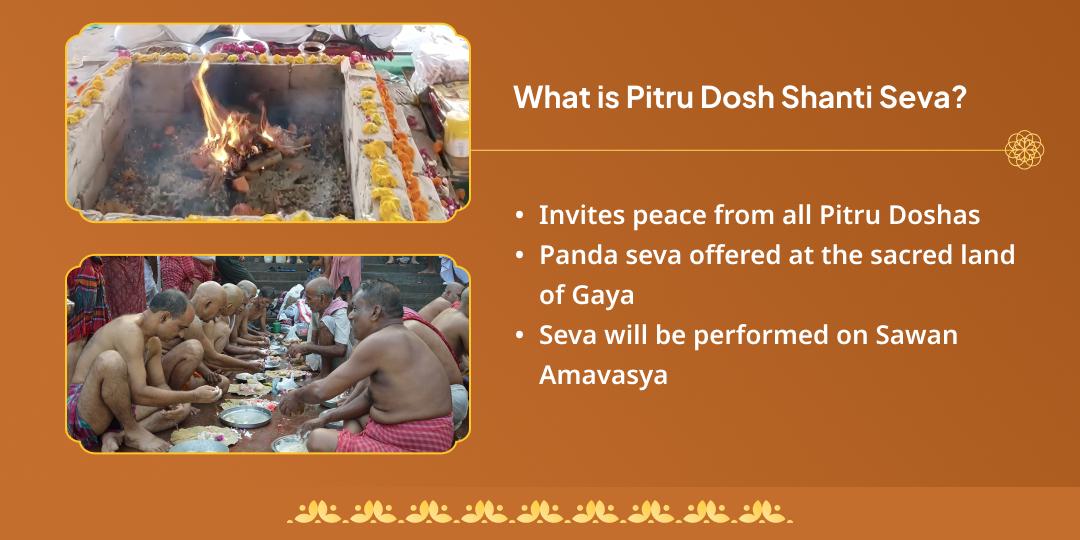 Sawan Amavasya Gaya Pitru Shanti Aahuti & Panda Seva
