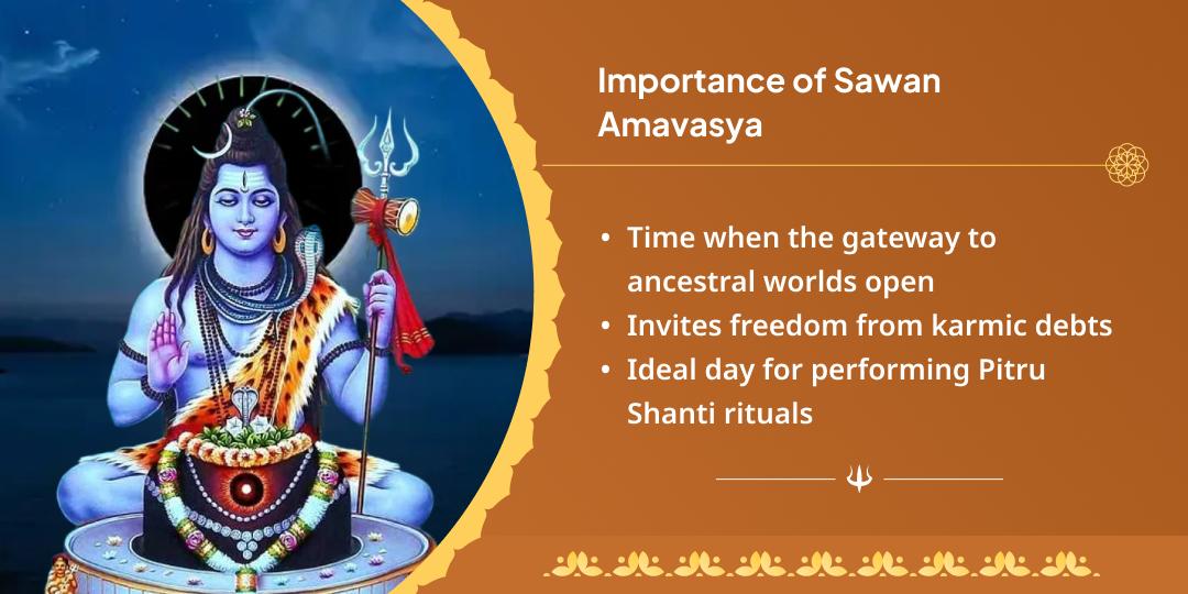 Sawan Amavasya Gaya Pitru Shanti Aahuti & Panda Seva