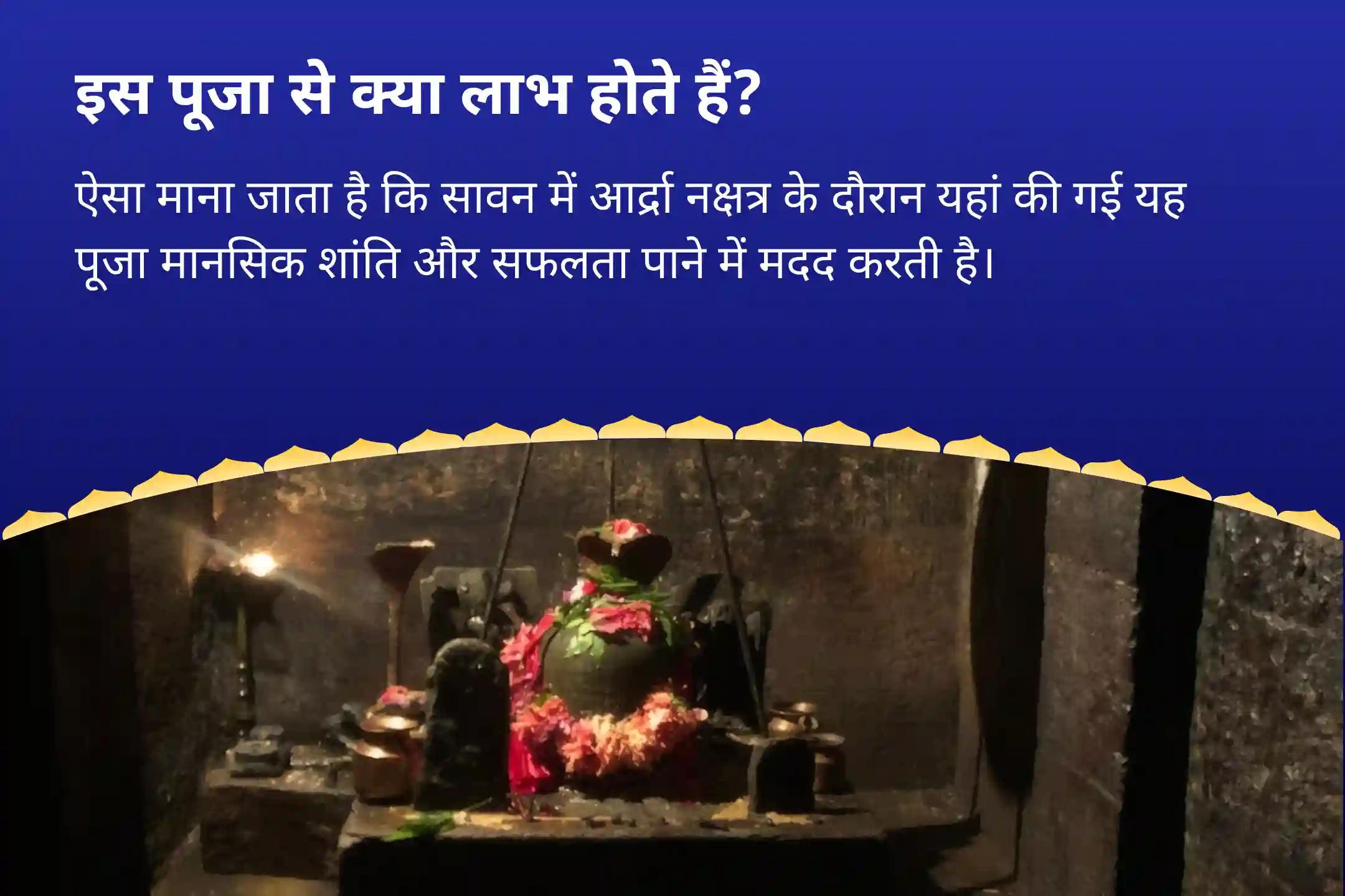 मानसिक स्थिरता और सफलता के आशीर्वाद के लिए आर्द्रा नक्षत्र विशेष - राहु शांति जाप और हवन राहु शांति जाप और हवन